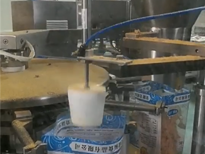 Meat floss bag packing machine